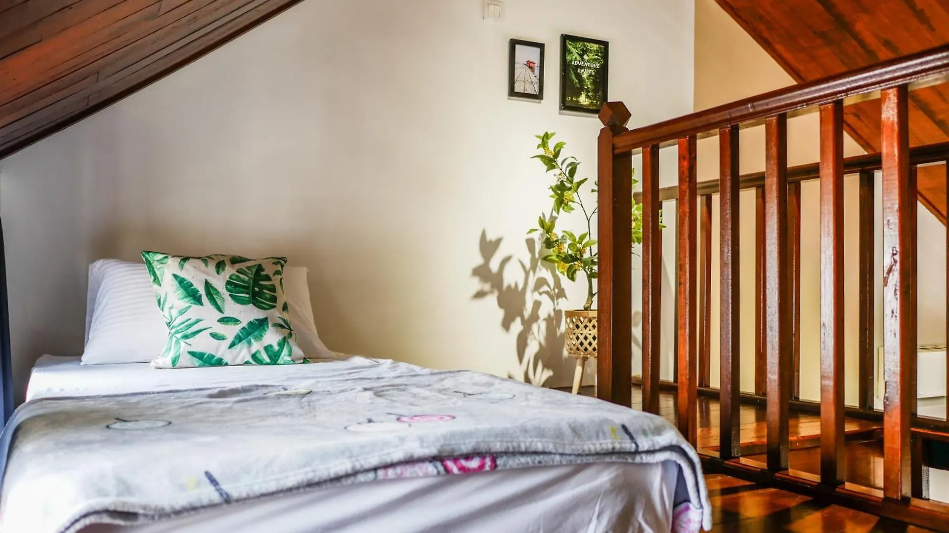 Carnarvon Antique Loft Hotel George Town Inn